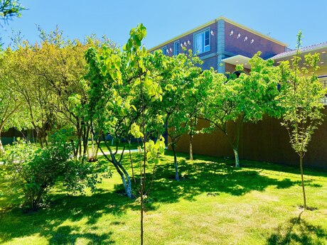 Həyət evi/Bağ evi - Buzovna q. - 500 m²