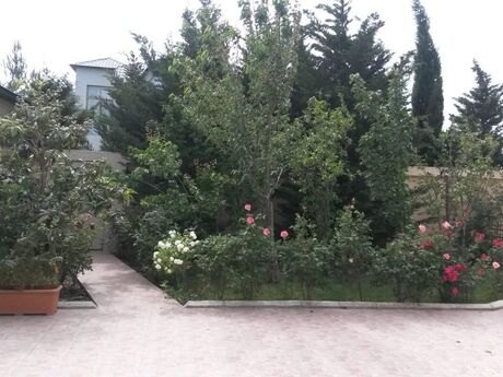 4 otaqlı həyət evi/bağ evi - Buzovna q. - 250 m²