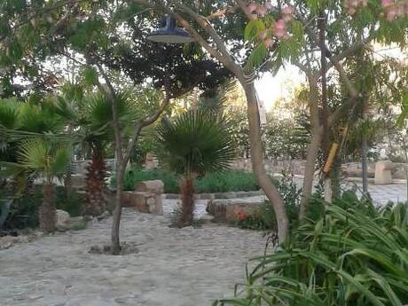 5 otaqlı həyət evi/bağ evi - Zuğulba q. - 340 m²