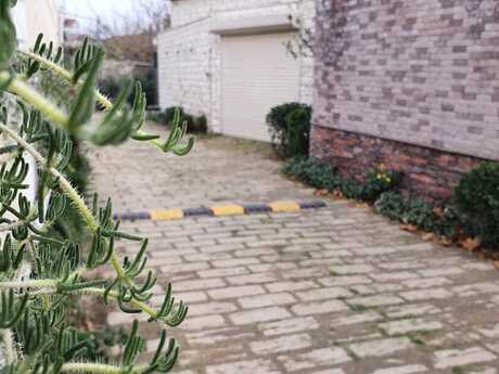4 otaqlı həyət evi/bağ evi - Novxanı q. - 220 m²