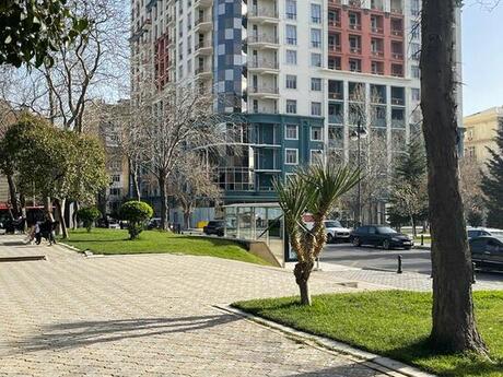 Объявление №2727639 - Баку, Насиминский  р., 115 м²