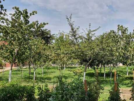 10 otaqlı həyət evi/bağ evi - Novxanı q. - 700 m²