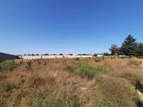 Участок - пос. Шаган - 110 сот