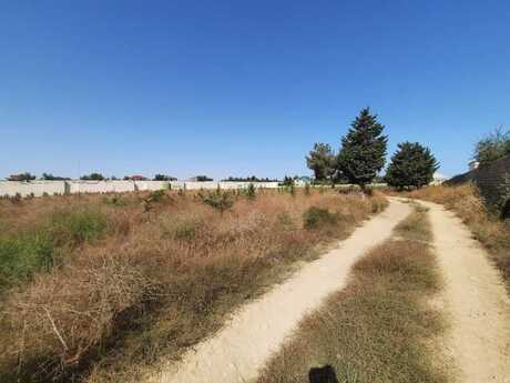 Участок - пос. Шаган - 110 сот