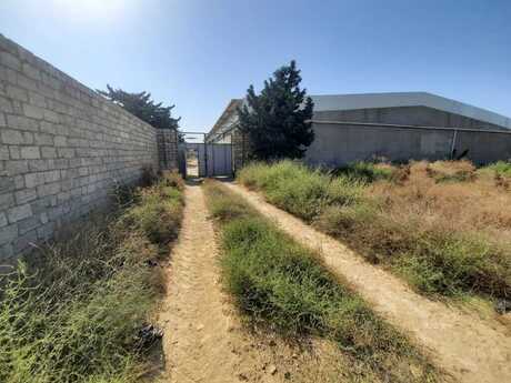 Участок - пос. Шаган - 110 сот