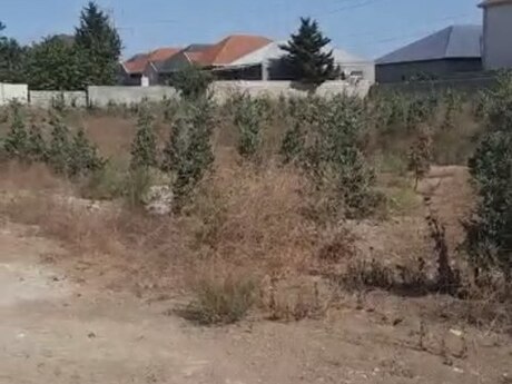 Участок - пос. Шаган - 30 сот