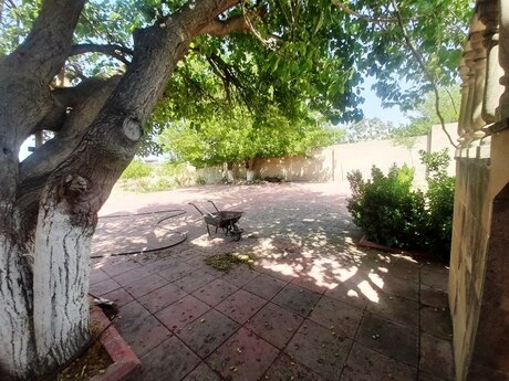 Həyət evi/Bağ evi - Binəqədi r. - 100 m²