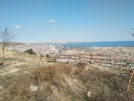 Badamdar q.