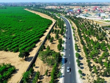 9 otaqlı həyət evi, 600 m², Şüvəlan: 2 400 000 ₼ 4
