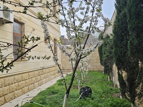 6 otaqlı həyət evi, 400 m², Badamdar: 1 999 000 ₼ 2