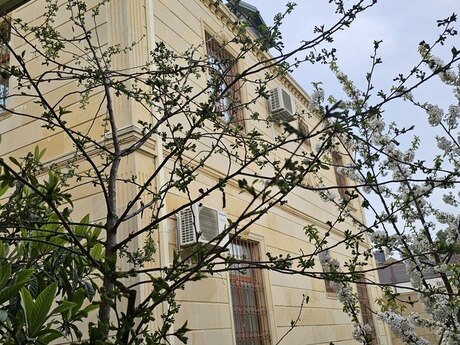 6 otaqlı həyət evi, 400 m², Badamdar: 1 999 000 ₼ 4