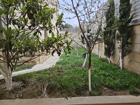 6 otaqlı həyət evi, 400 m², Badamdar: 1 999 000 ₼ 5