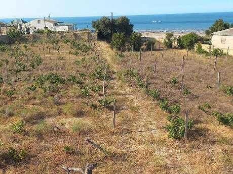 Elan №3448203 - Bakı, Novxanı q., 27 sot