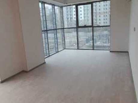 Image2