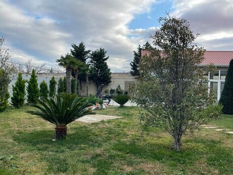 7 otaqlı həyət evi/bağ evi - Novxanı q. - 320 m²