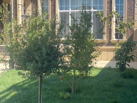 4 otaqlı həyət evi/bağ evi - Mərdəkan q. - 180 m²