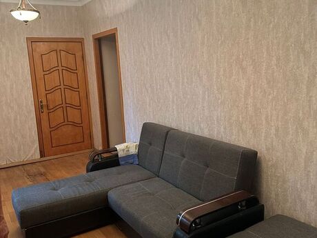 7 otaqlı həyət evi/bağ evi - Nəsimi m. - 650 m²