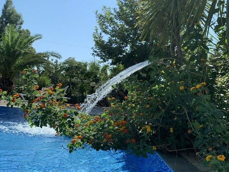 House with Garden, Villa For Rent