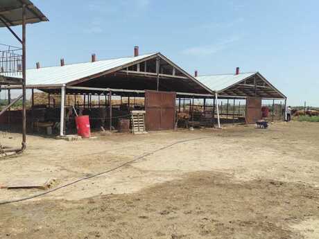 Satılır obyekt 15000 m², Hacıqabul