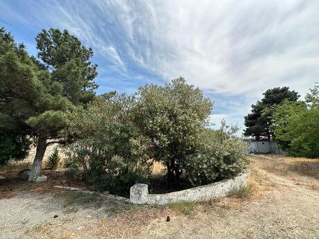 5 otaqlı həyət evi/bağ evi - Nardaran q. - 400 m²