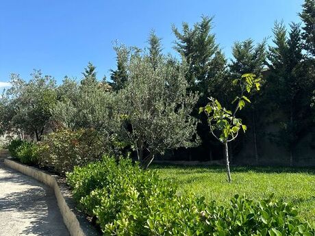 10 otaqlı həyət evi/bağ evi - Fatmayı q. - 585 m²