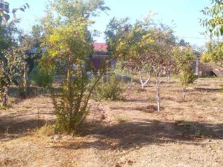 Elan №3801871 - Bakı, Bilgəh q., 22 sot