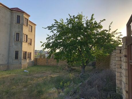 12 otaqlı həyət evi, 550 m², Novxanı: 260 000 ₼ 5