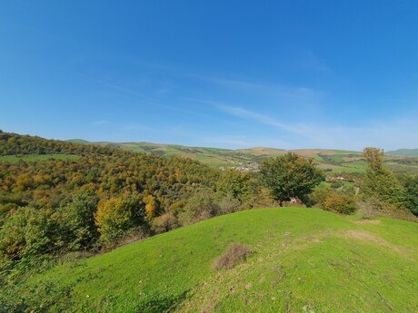 Elan №3894652 - Lerik, Lerik, 200 sot