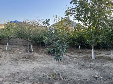  otaqlı həyət evi, 200 m², Görədil: 145 000 ₼ 5