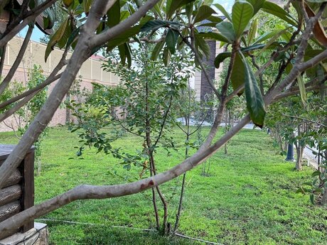 5 otaqlı həyət evi/bağ evi - Nardaran q. - 380 m²