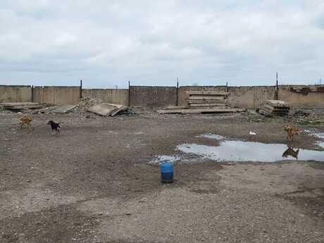 Объявление №4150828 - Сумгаит, Сумгаит, 27.4 сот