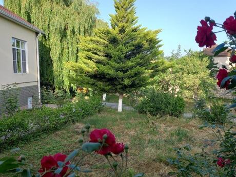4 otaqlı həyət evi/bağ evi - Quba - 90 m²