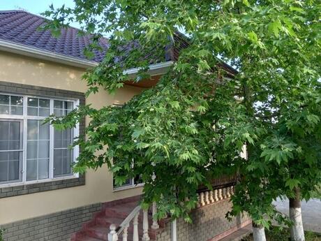 4 otaqlı həyət evi/bağ evi - Quba - 90 m²