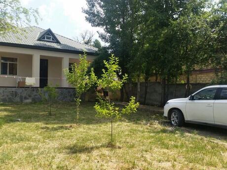 Объявление №4197291 - Габала, Габала, 3-комн., 81 м²