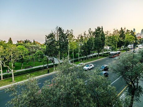 Kirayə 3 otaqlı mənzil, 101 m², Sahil: 65 ₼/ay 5