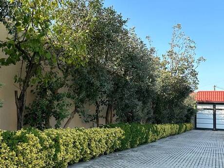 10 otaqlı həyət evi/bağ evi - Badamdar q. - 800 m²