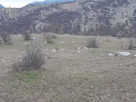 Torpaq - Quba - 12 sot