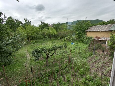 3 otaqlı həyət evi/bağ evi - Quba - 70 m²