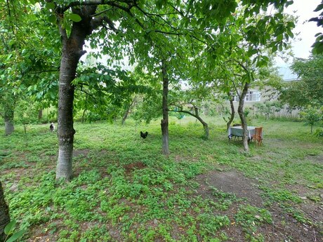 3 otaqlı həyət evi/bağ evi - Quba - 70 m²