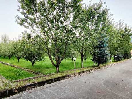 4 otaqlı həyət evi/bağ evi - Qusar - 100 m²