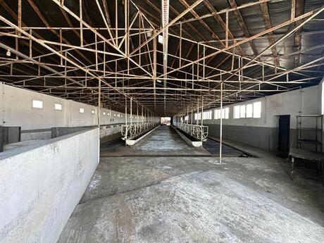 Объект - Шабран - 40000 м²