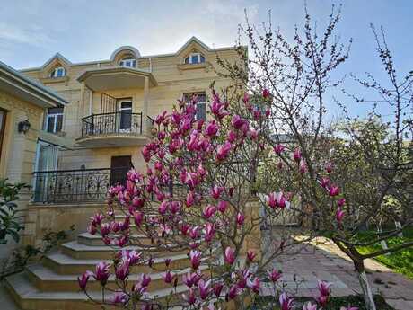 5 otaqlı həyət evi/bağ evi - Badamdar q. - 400 m²