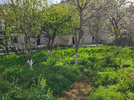 5 otaqlı həyət evi/bağ evi - Badamdar q. - 400 m²