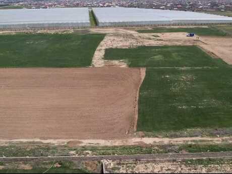 Torpaq - Zığ q. - 1700 sot