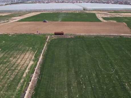 Torpaq - Zığ q. - 1700 sot