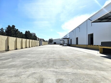 Elan №4355246 - Xırdalan, Xırdalan, 6000 m²