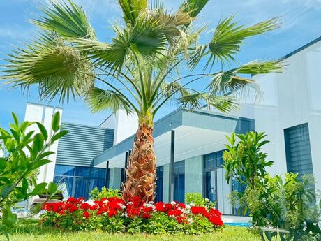 Elan №4363132 - Bakı, Mərdəkan q., 6 otaqlı, 300 m²
