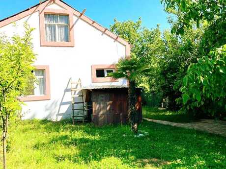 3 otaqlı həyət evi/bağ evi - Zaqatala - 80 m²