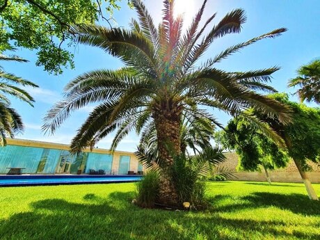 5 otaqlı həyət evi/bağ evi - Şüvəlan q. - 450 m²