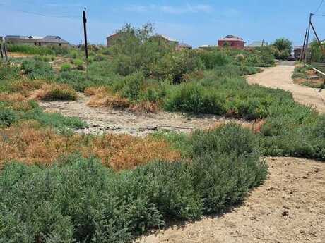 Torpaq - Ələt q. - 100 sot